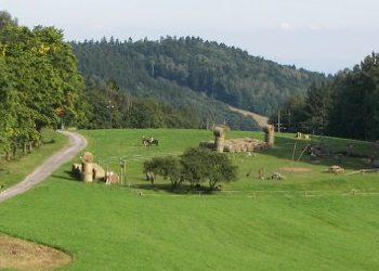 Farmapark Muchomůrka